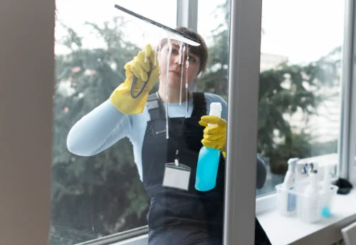 Nettoyage de vitres intérieures et extérieures à Mirepeix